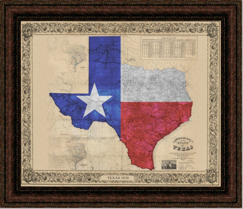 Texas Color Map Canvas Print