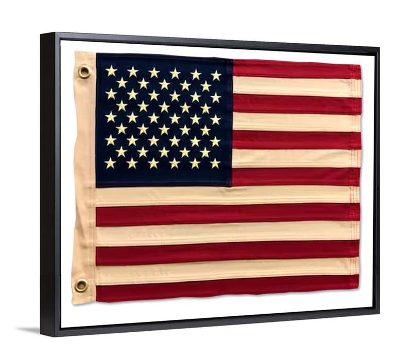 USA Flag