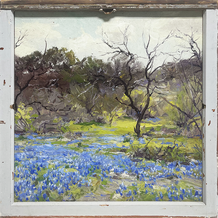 Early Spring Bluebonnets and Mesquite