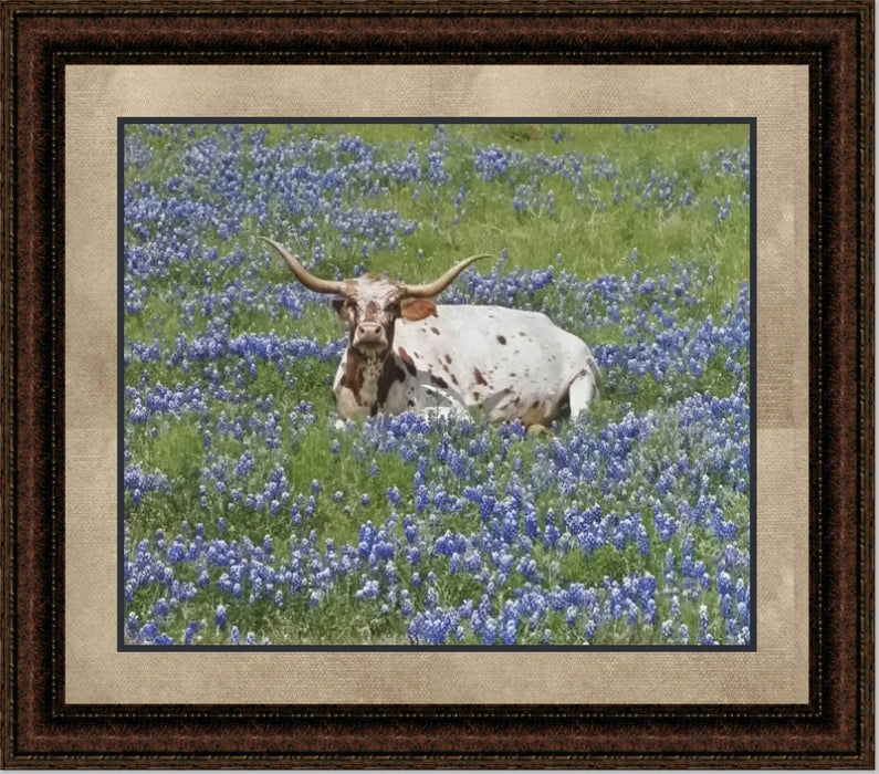 Longhorn in Blue Bonnet | Cattle Art Canvas or Framed Print | Various Sizes