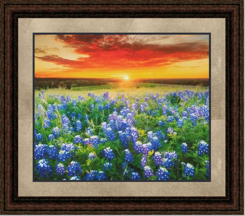 Blue Bonnet Field VII | Floral Canvas or Framed Print | Various Sizes