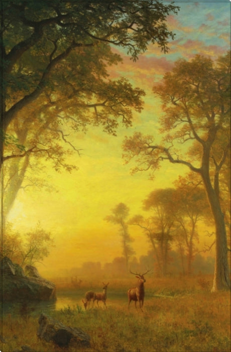 Light in the Forest | Albert Bierstadt Masters Classic Art in Gallery Wrapped Canvas | Various Sizes