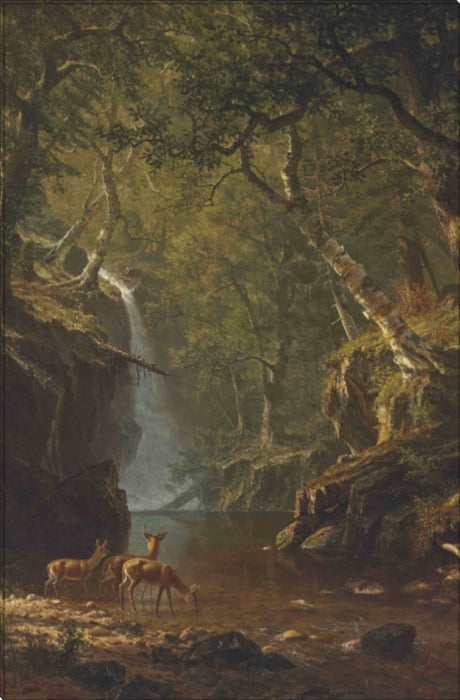 Cascading Falls | Albert Bierstadt Masters Classic Art in Gallery Wrapped Canvas | Various Sizes