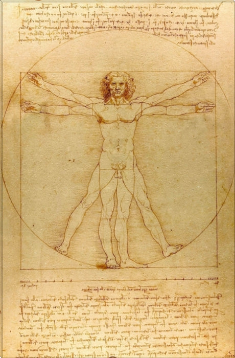 The Vitruvian Man | Leonardo da Vinci Masters Classic Art in Gallery Wrapped Canvas | Various Sizes