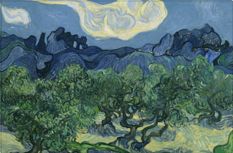 The Olive Trees | Vincent Van Gogh Masters Classic Art in Gallery Wrapped Canvas | Various Sizes