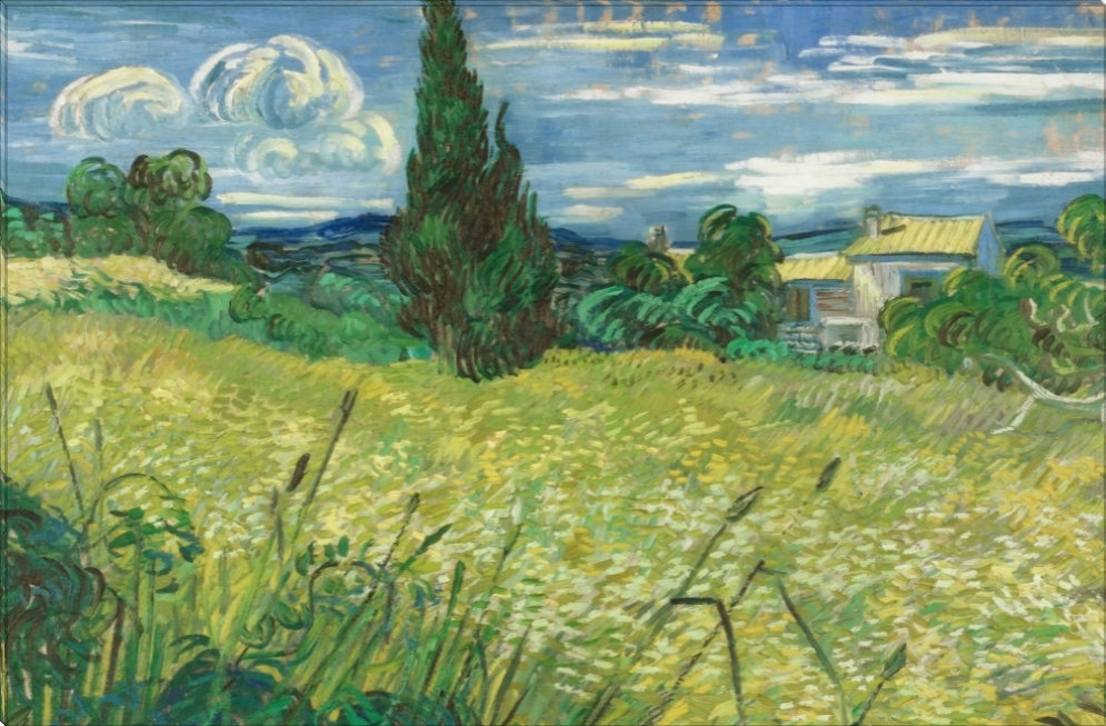 Green Field | Vincent Van Gogh Masters Classic Art in Gallery Wrapped Canvas | Various Sizes