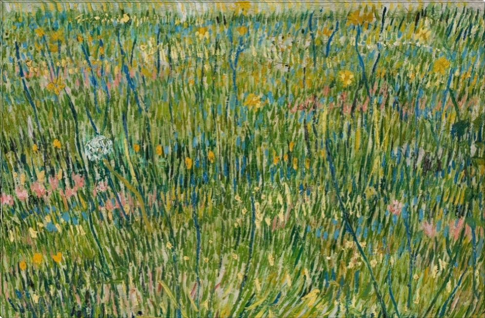 Patch of Grass | Vincent Van Gogh Masters Classic Art in Gallery Wrapped Canvas | Various Sizes