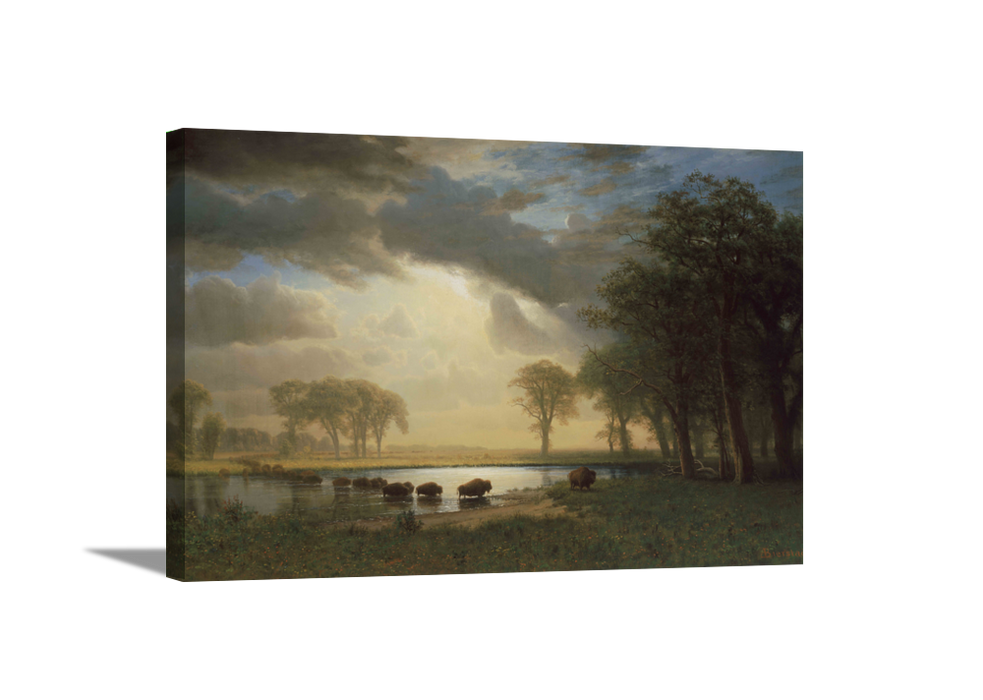The Buffalo Trail | Albert Bierstadt Masters Classic Art in Gallery Wrapped Canvas | Various Sizes