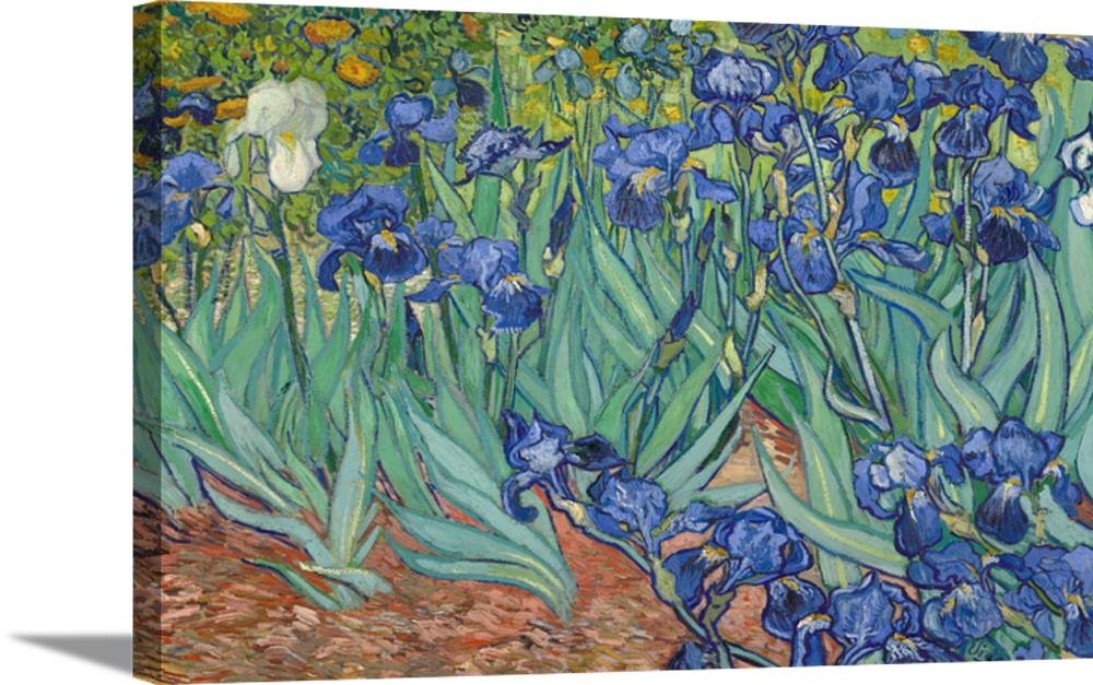 Irises in Blue | Vincent Van Gogh Masters Classic Art in Gallery Wrapped Canvas | Various Sizes