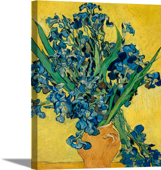 Irises in Yellow | Vincent Van Gogh Masters Classic Art in Gallery Wrapped Canvas | Various Sizes