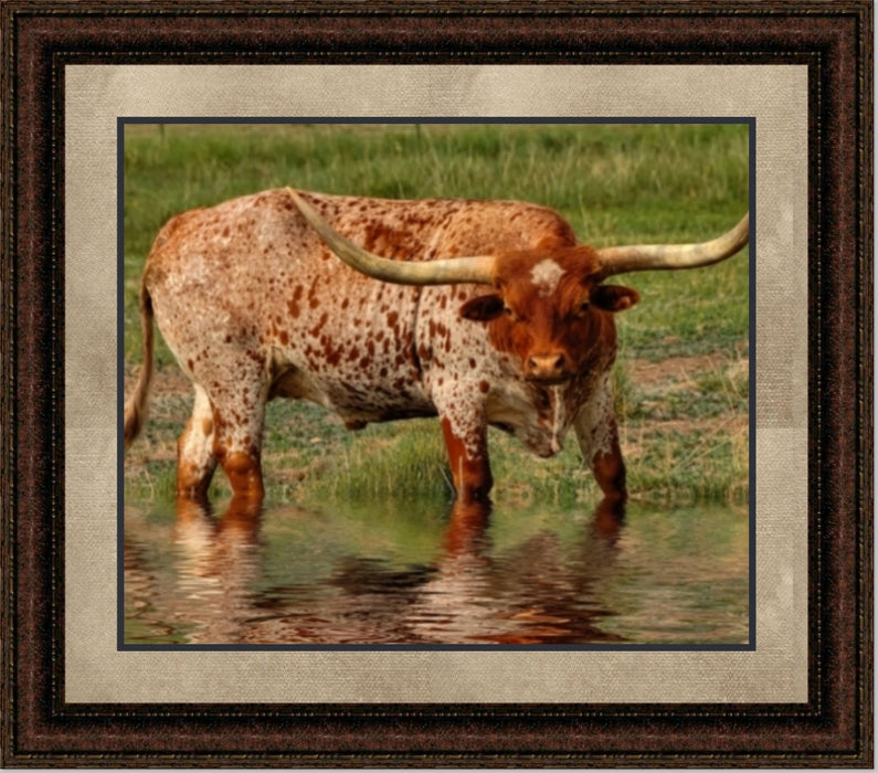 In the River | Cattle Art Canvas or Framed Print | Various Sizes