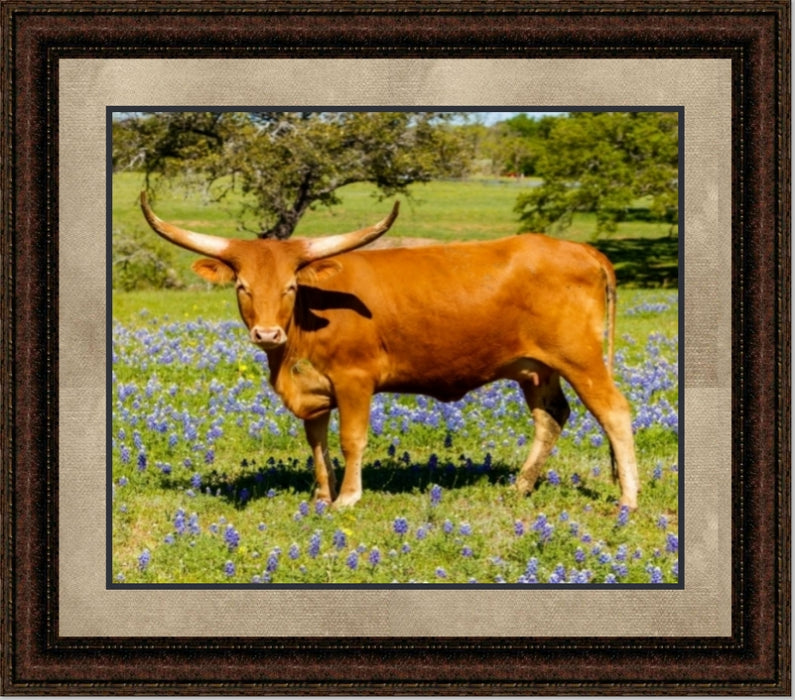 Stand your Ground | Cattle Art Canvas or Framed Print | Various Sizes