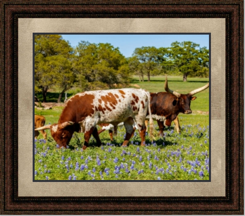 Longhorn Family | Cattle Art Canvas or Framed Print | Various Sizes