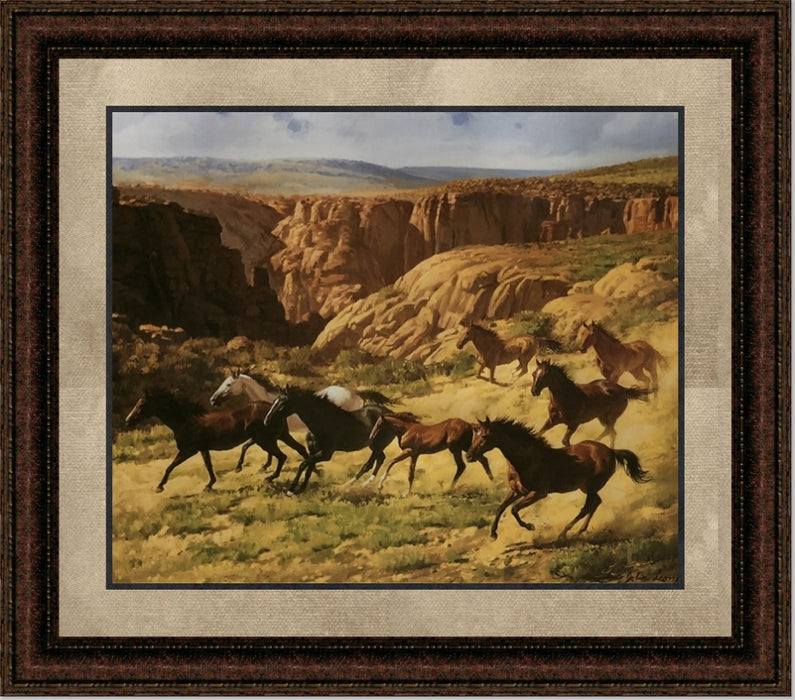 Canyon Mustangs