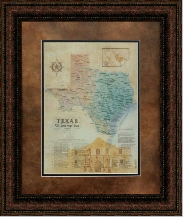 Texas Alamo Map Canvas Print