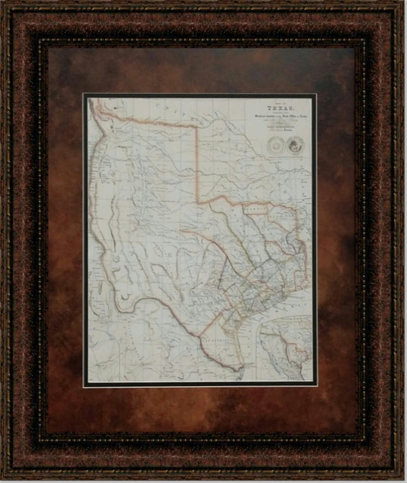 Survey Map of Texas Canvas Print