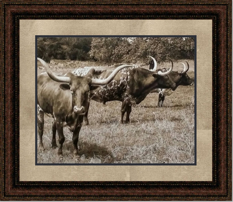 Texas Longhorn Grazing | Western Framed Cattle Art in Double Mat | Various Sizes