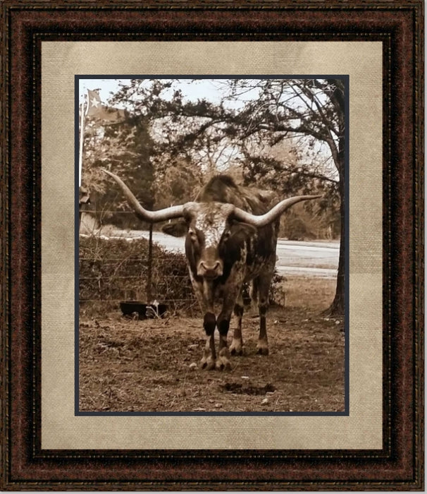 Texas Longhorn | Western Framed Cattle Art in Double Mat | 25L X 21W" Inches