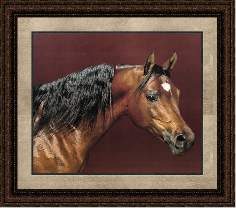 Dark Star | Framed Western Horse Art in Double Mat