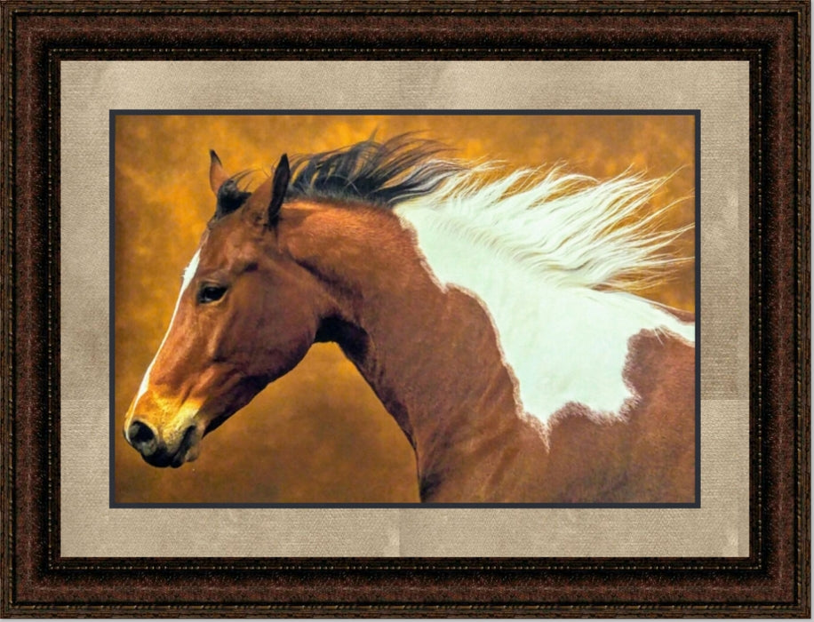 Painted Runner | Framed Western Horse Art in Double Mat | 21L X 25W" Inches