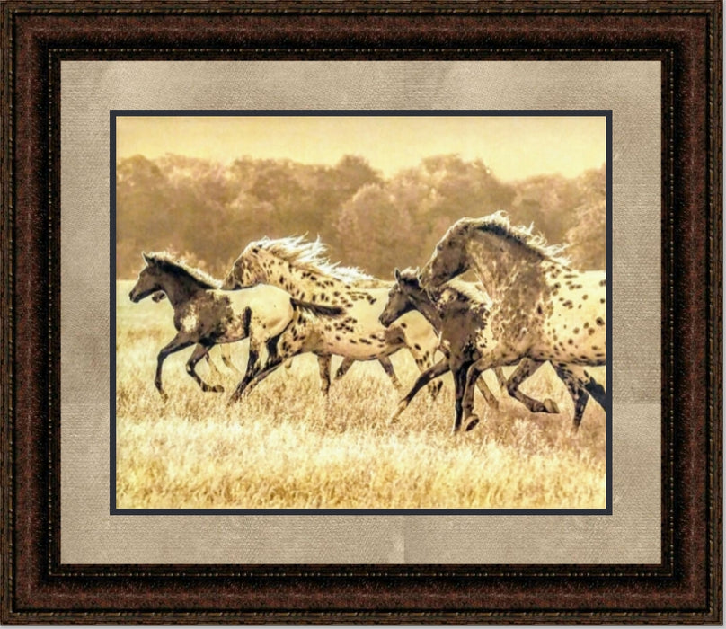 Appaloosa Run | Framed Western Horse Art in Double Mat | 21L X 25W" Inches